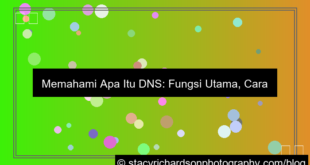 ilustrasi apa itu dns dan fungsinya
