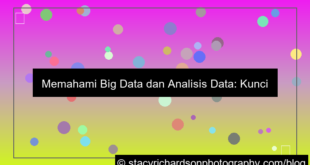 big data dan analisis data