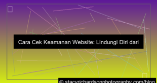 cara cek keamanan website