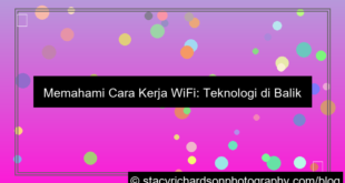 cara kerja wifi