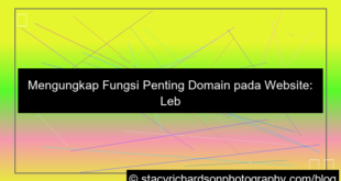 gambar fungsi domain pada website