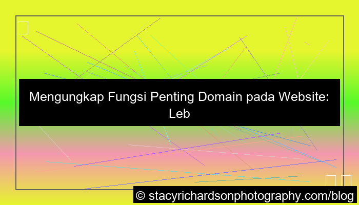 gambar fungsi domain pada website