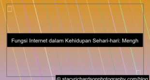 fungsi internet dalam kehidupan sehari hari