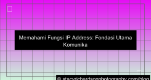 fungsi ip address di internet