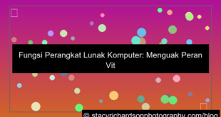visual fungsi perangkat lunak komputer