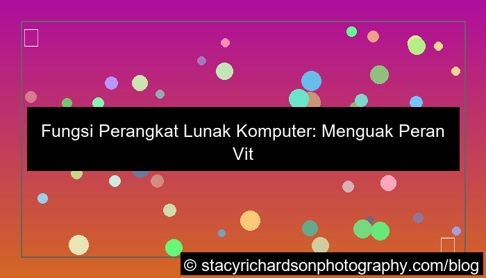visual fungsi perangkat lunak komputer