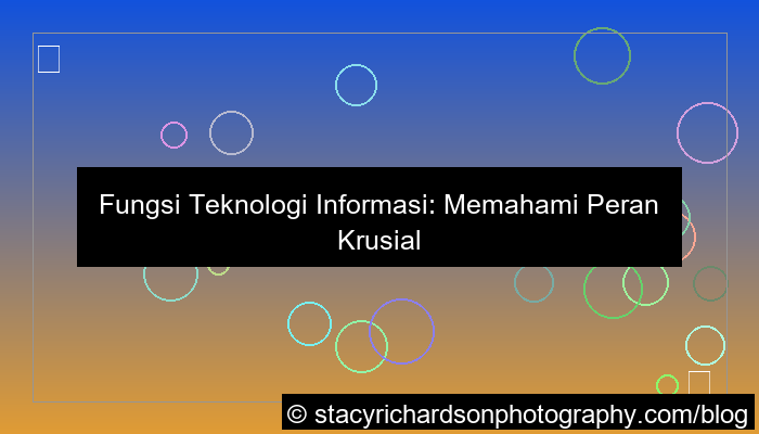 fungsi teknologi informasi