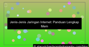 desain jenis jenis jaringan internet