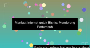 desain manfaat internet di bidang bisnis