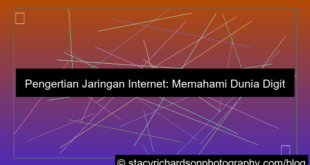 gambar pengertian jaringan internet