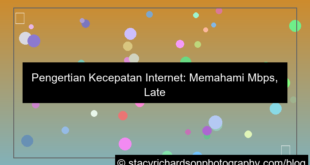pengertian kecepatan internet