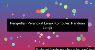 visual pengertian perangkat lunak komputer