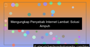 visual penyebab internet lambat