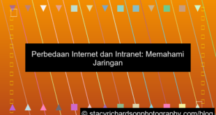 gambar perbedaan internet dan intranet