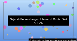 grafik sejarah perkembangan internet di dunia