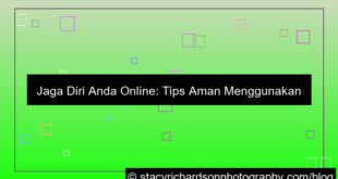 tips aman menggunakan internet