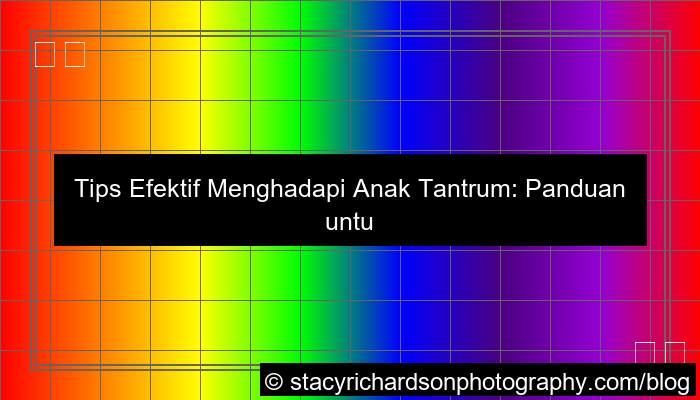 tips menghadapi anak tantrum