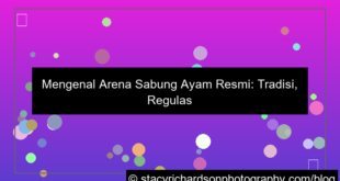 arena sabung ayam resmi