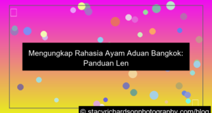 visual ayam aduan bangkok