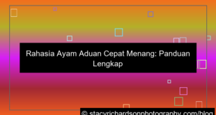 grafik ayam aduan cepat menang
