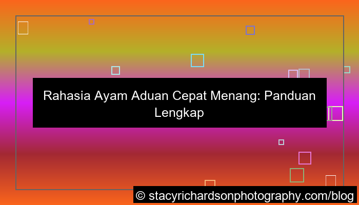 grafik ayam aduan cepat menang