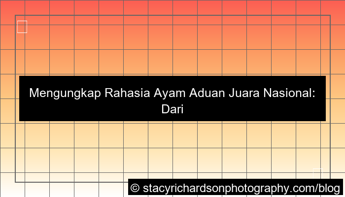 grafik ayam aduan juara nasional