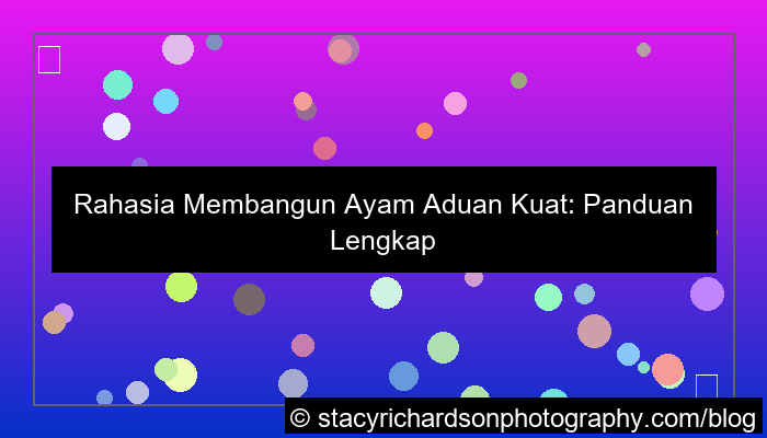 grafik ayam aduan kuat