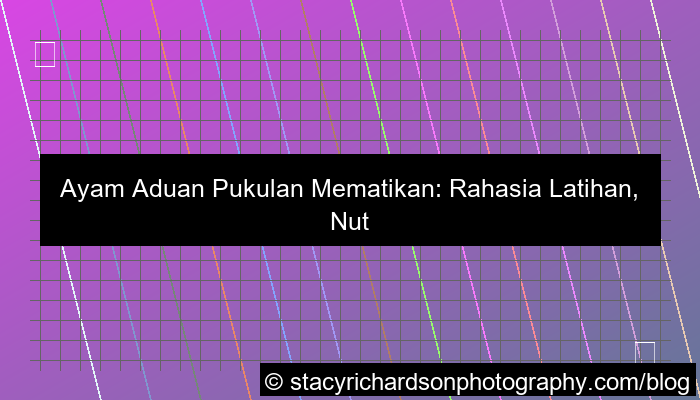 desain ayam aduan pukulan mematikan