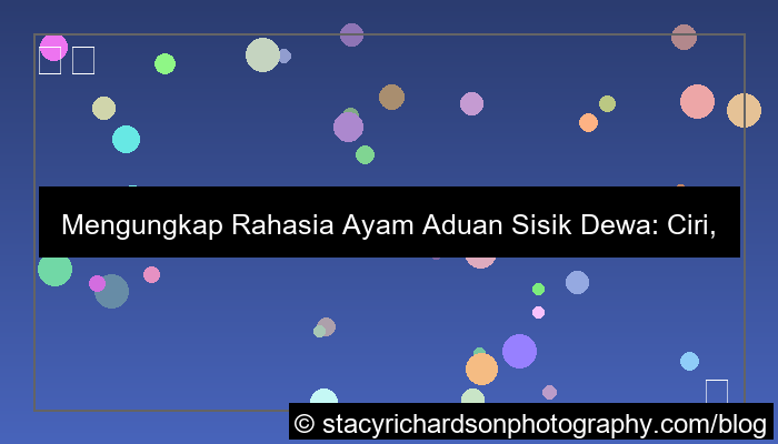 ayam aduan sisik dewa