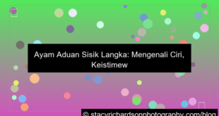 visual ayam aduan sisik langka