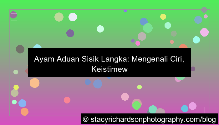 visual ayam aduan sisik langka