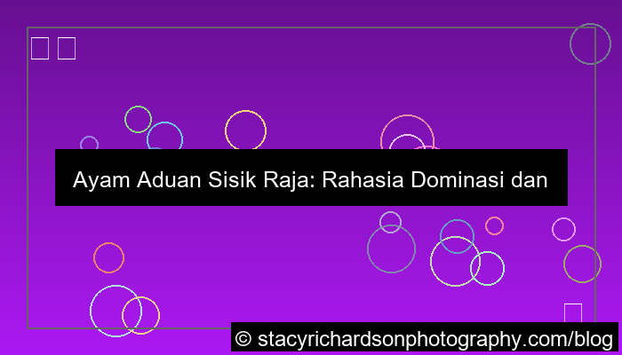 ayam aduan sisik raja