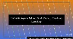 ayam aduan sisik super