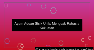 ayam aduan sisik unik