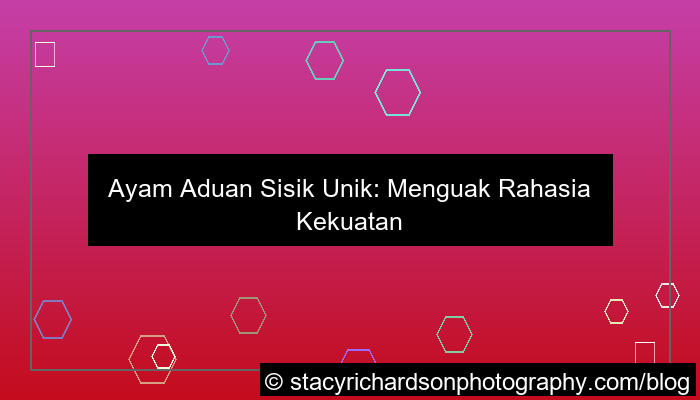 ayam aduan sisik unik