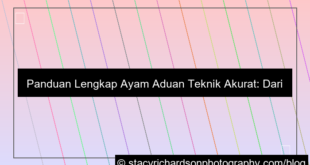 ayam aduan teknik akurat