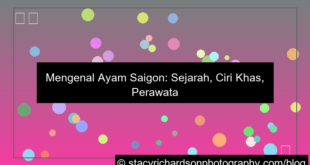 gambar ayam saigon