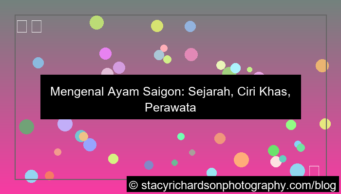 gambar ayam saigon