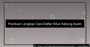 cara daftar situs sabung ayam