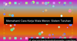 cara kerja wala meron