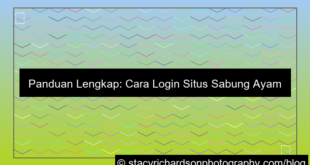 grafik cara login situs sabung ayam