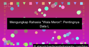 desain data lengkap wala meron