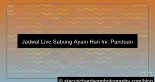 jadwal live sabung ayam