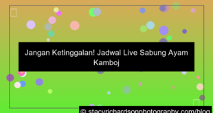 jadwal live sabung ayam cambodia