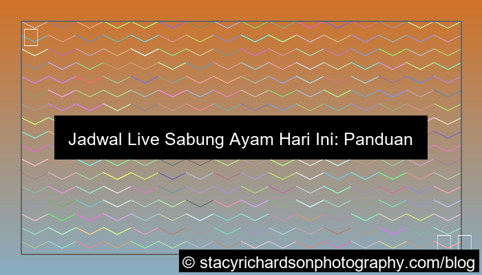 jadwal live sabung ayam