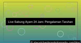 desain live sabung ayam 24 jam