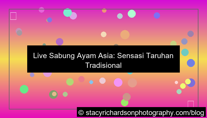 live sabung ayam asia