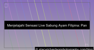 visual live sabung ayam filipina