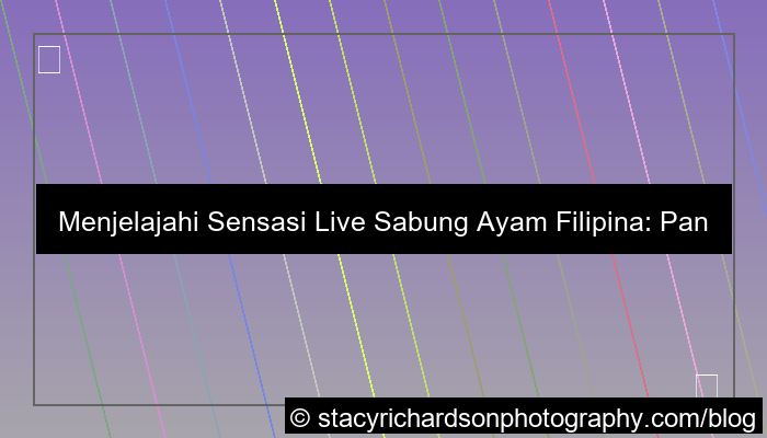 visual live sabung ayam filipina