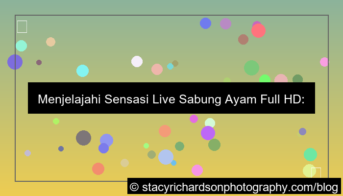 ilustrasi live sabung ayam full hd